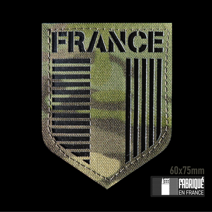 ECUSSON BLASON HERALDIQUE FRANCE