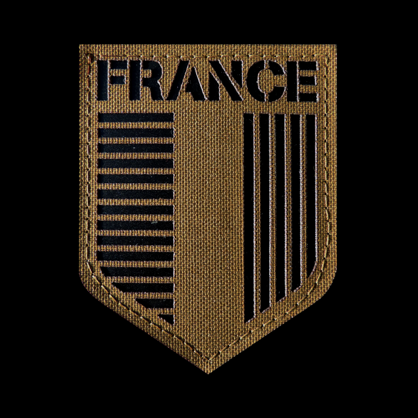 ECUSSON BLASON HERALDIQUE FRANCE