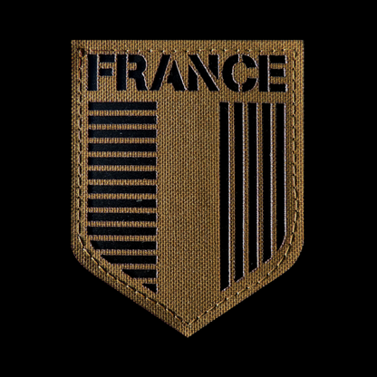 ECUSSON BLASON HERALDIQUE FRANCE