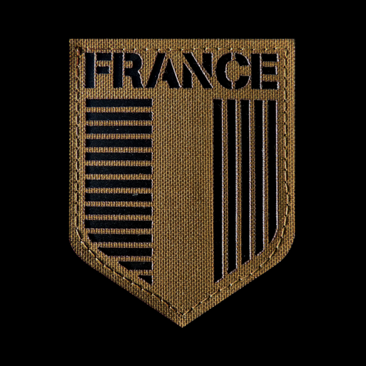 ECUSSON BLASON HERALDIQUE FRANCE