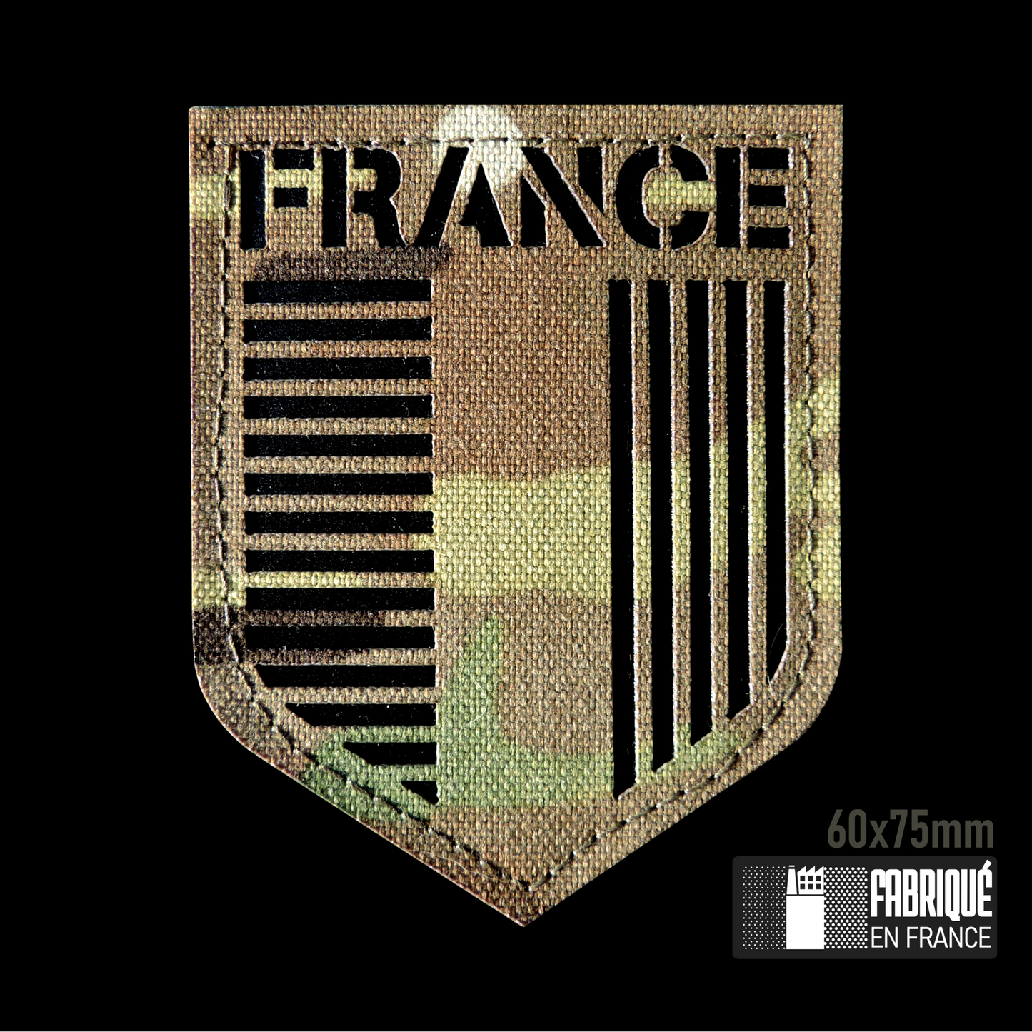 ECUSSON BLASON HERALDIQUE FRANCE