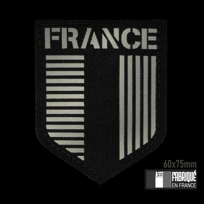 ECUSSON BLASON HERALDIQUE FRANCE