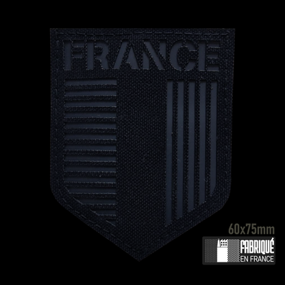 ECUSSON BLASON HERALDIQUE FRANCE