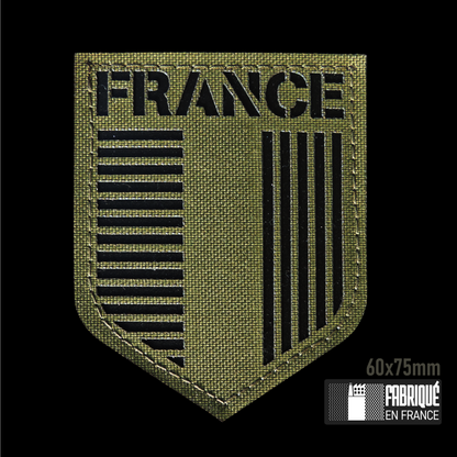 ECUSSON BLASON HERALDIQUE FRANCE